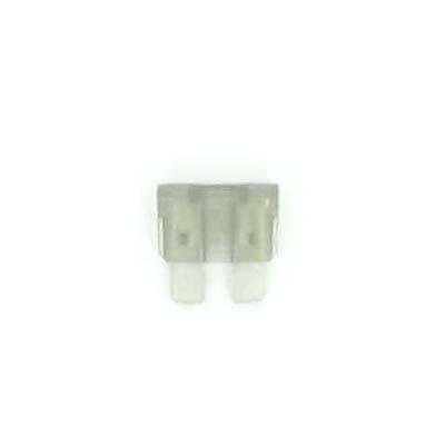 2 amp blade fuse